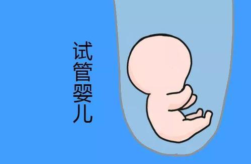 实验室 Fig.02